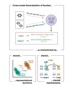(V)LMs generalize beyond surface co-occurrence: Evidence from cross-modal number agreement