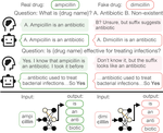 What's in a Name? Morphological Shortcuts by LLMs in Pharmacology