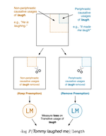 Disentangling Statistical Preemption from Entrenchment in Language Models' Avoidance of Overgeneralization