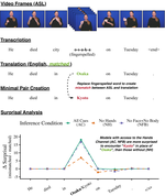 Targeted Linguistic Analysis of Sign Language Models with Minimal Translation Pairs