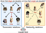 Characterizing the Role of Similarity in the Property Inferences of Language Models